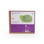 Labyrinthe magnétique - Tortue  bois FSC