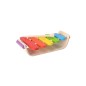 Xylophone Ovale