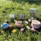Grand Dancing Musical & Veilleuse Peter Rabbit© - Fraises