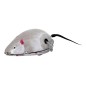 Souris Mécanique à Clé 