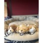 Peluche nemu nemu - VICK - Chien Beagle - Taille S - 11 cm