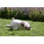 Peluche nemu nemu - HANA - Bulldog - Taille M - 27 cm 