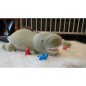 Peluche nemu nemu - TIRANO - Dinosaure - Taille L - 53 cm 