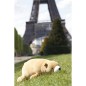 Peluche nemu nemu - COOKIE - Ours Brun - Taille L - 53 cm 