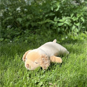 Peluche nemu nemu - SORA - Chien Golden Retriever - Taille L - 56 cm 