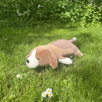 Peluche nemu nemu - VICK - Chien Beagle - Taille L - 54 cm 