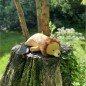 Peluche nemu nemu - LEON - Lion - Taille L - 53 cm