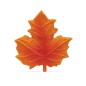 Feuille d'Erable